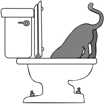 Cat Drinking From Toilet