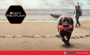 9634_Purina_Trihes_2-Advertorial_1100x685px-01