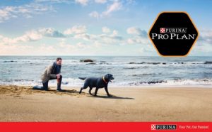 9634_Purina_Trihes_2-Advertorial_1100x685px-02